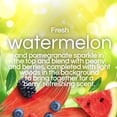 thumbnail image 4 of Air Wick Plug-In Scented Oil Air Freshener Warmer Refills, Refreshing Watermelon and Berries, 5 Count, 4 of 9