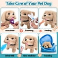 thumbnail image 6 of Casrra Veterinary Play Set with Plush Puppy & Portable Bag for Ages 3-6, 6 of 10