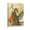 Frame-style, variant on Yumihiko Amano Japanese Artwork Artist Artworks Canvas Poster Room Aesthetic Wall Art Prints Home Modern Decor Gifts 12x18inch(30x45cm)