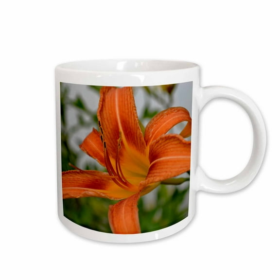 3drose, a Perfect Macro of a Day Lily, 11oz Mug