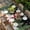 Green Black Red, variant on Red Christmas Table Cloths for 3 Foot Rectangle Tables, Snowman Xmas Tree Gifts Snowflake Winter Patio Waterproof Elastic Fitted Tablecloths, Washable Rectangular Table Cover for Camping