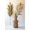 Multi, variant on Decorative Palm Fans with Bamboo Stems