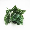 thumbnail image 1 of LEARNEVER 9 Stem Large Variegated Green Artificial Leaf Bundle 33cm Various Plant St, 1 of 1