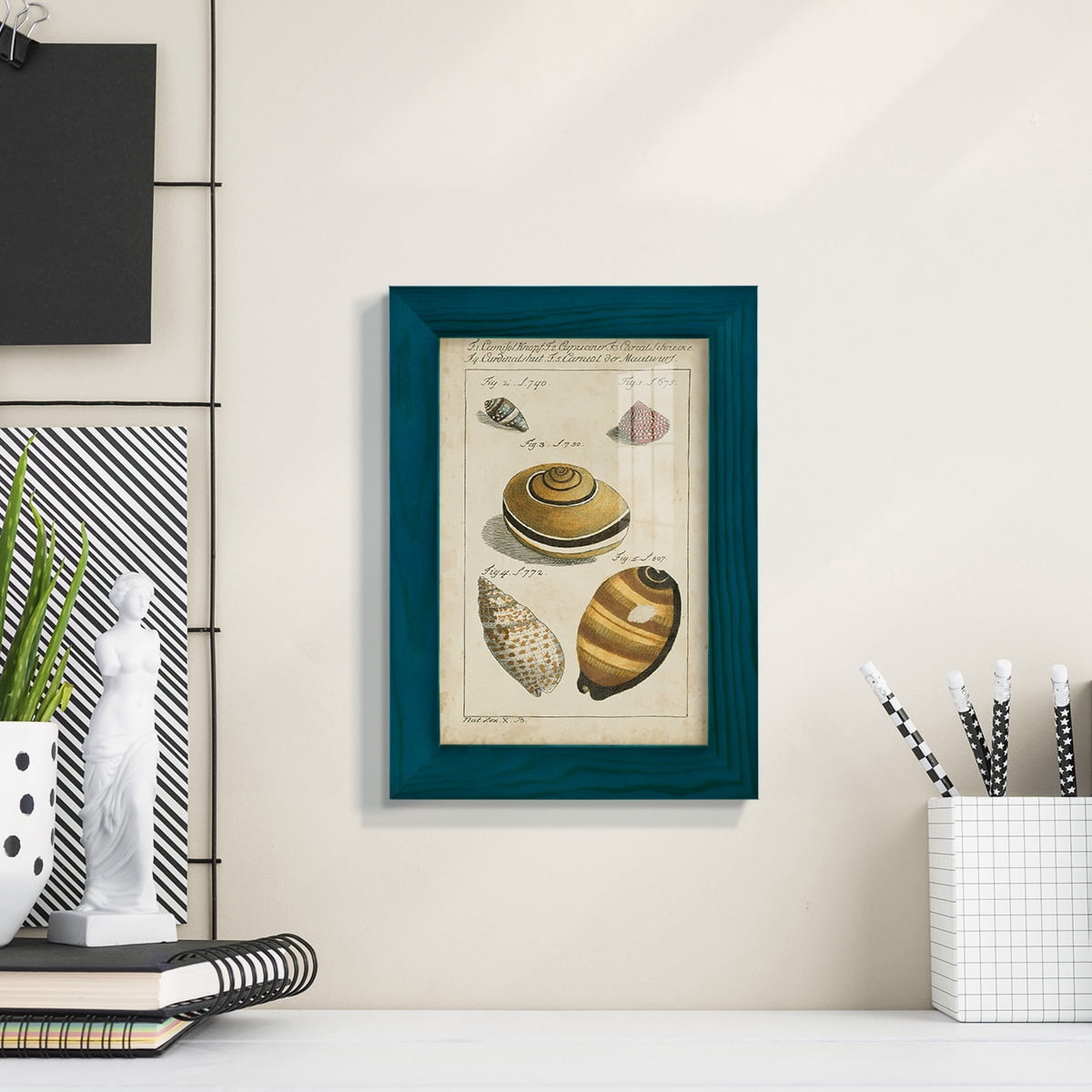 Vintage Shell Study IV -Framed Print w/glass-Ocean Blue