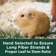 thumbnail image 4 of Kaytee Forti Diet Timothy Hay for Rabbits, Guinea Pigs, Hamsters, Chinchillas and Other Small Animals, 11.25 Pounds, 4 of 10