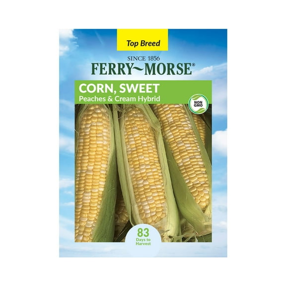 Ferry-Morse 6G Corn Peaches Cream Hybrid Bicolor Annual Vegetable Seeds, Full Sun