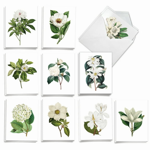 The Best Card Company 20 Assorted Sympathy Note Cards Box Set 4 x 5.12 Inch with Envelopes (10 Designs, 2 Each) Snow-White Blooms AM2818SMG-B2x10