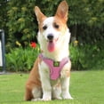 thumbnail image 6 of Pet Harness Reflective Breathable Dog Leash Puppy Easy To Wear Harness Pet Supplies Outdoor Pet Harness Pet Clothes Rack Pet Clothes for Small Dogs Girl Pet Clothes for Small Dogs Boy Pet Clothes for, 6 of 9