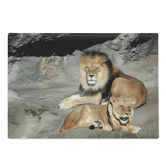 Zoo Cutting Board, Male and Female Lions Basking in the Sun Wild Cats Habitat King of Jungle, Decorative Tempered Glass Cutting and Serving Board, Large Size, Pale Brown Grey Yellow, by Ambesonne