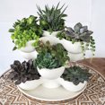 thumbnail image 2 of The HC Companies 8" Pixie Indoor Stacking Succulent Planter Pot, Artisan Taupe, 2 of 7