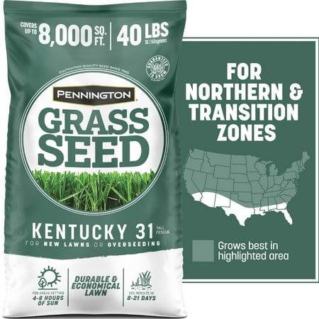 Pennington Kentucky 31 Tall Fescue Grass Seeds for Lawn, for Sun to Partial Shade, 40 lb