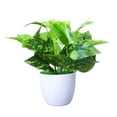 thumbnail image 1 of CreativeArrowy 10in Fake Plants Small Potted Faux Plant Realistic Decorative Plants Artificial Plants for Indoor Decor Home Office Desk Bathroom Bedroom Aesthetic Decoration, 1 of 9