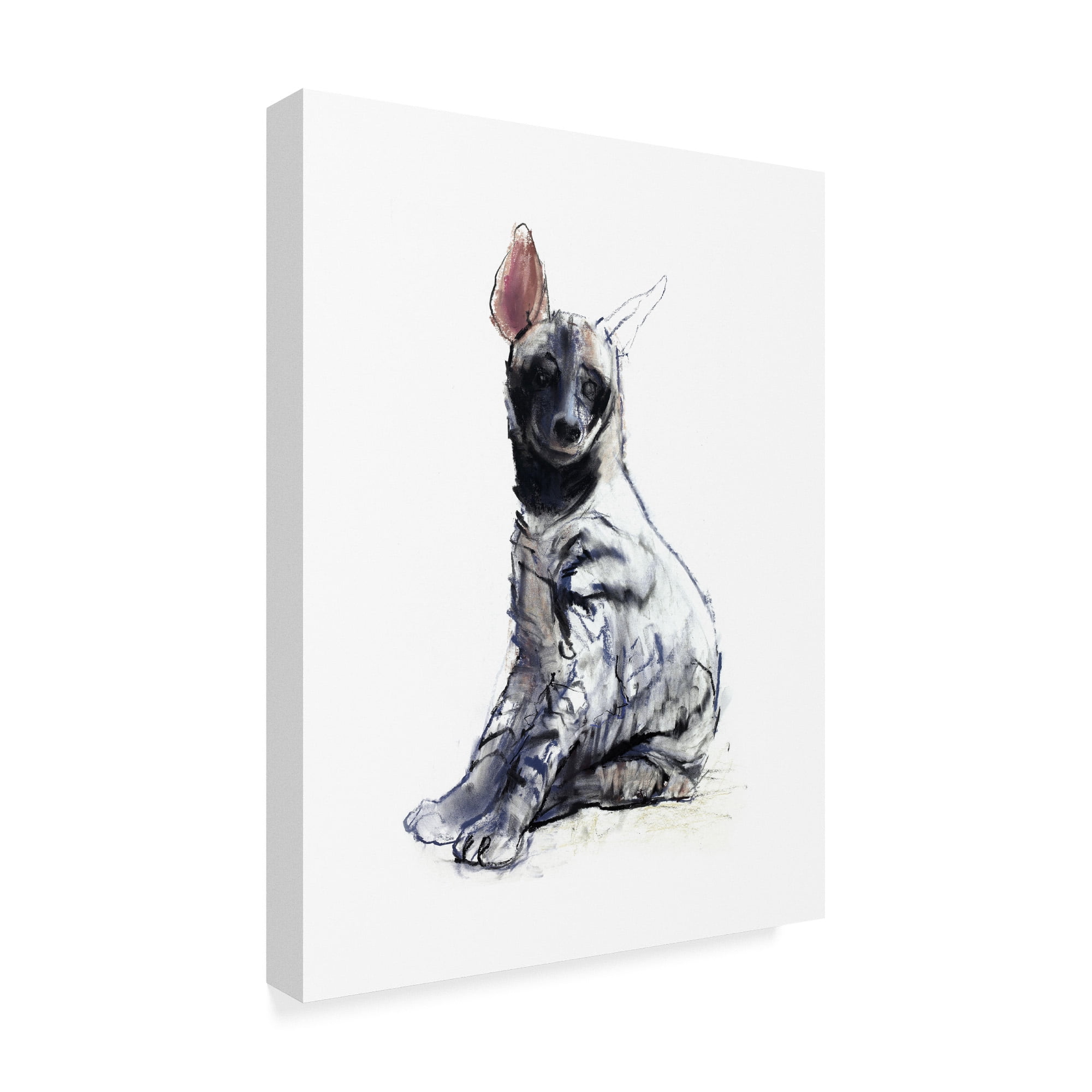 Trademark Fine Art 'Striped Hyena Pup Seated' Canvas Art by Mark Adlington