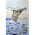 thumbnail image 2 of Derr, Wynn 11x14 Black Ornate Wood Framed with Double Matting Museum Art Print Titled - Humpback Whale, 2 of 4
