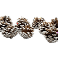 thumbnail image 2 of Black Duck Brand Assorted Pinecone Christmas Table Scatter! Glitter Frosted Winter-Themed Pinecones Perfect for Decorating for The Holiday Season! (15, Snow Tipped), 2 of 5