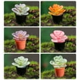 thumbnail image 5 of Visland Mini Artificial Flower Potted Plants Miniature Fairy Garden House Homes Decoration Mini Micro Landscaping Decor Accessory DIY, 5 of 8