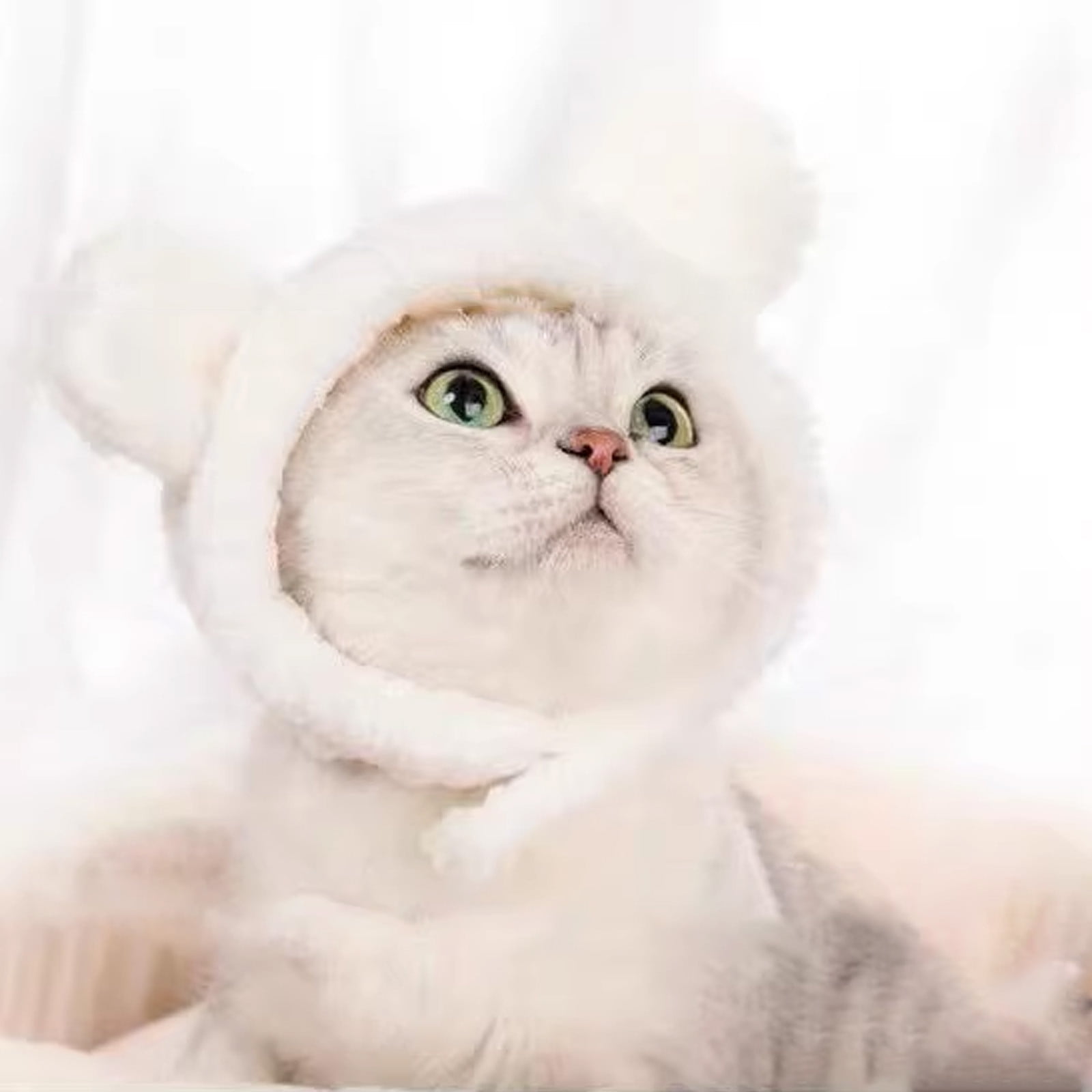 Hats For Cats Weewooday Pcs Cat Adorable Costume Bunny Hat With