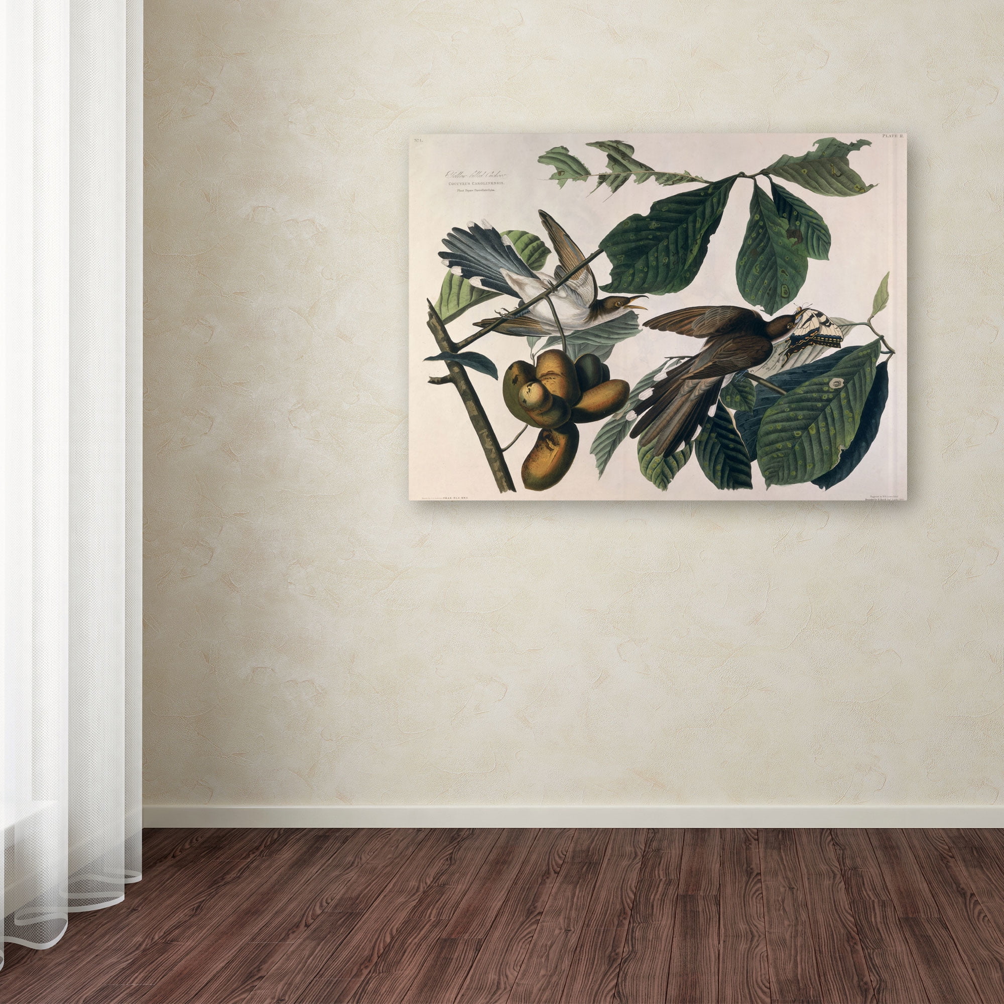 Trademark Fine Art "Yellow-Billed Cuckoo" Canvas Art by John James Audubon