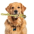 thumbnail image 4 of Cuerdas de masticar para perros en forma de nudos de Bargains Únicos, cuerda de algodón trenzado duradera para limpiar los dientes de gatos y perros en color rosa, gris y amarillo, 4 of 7