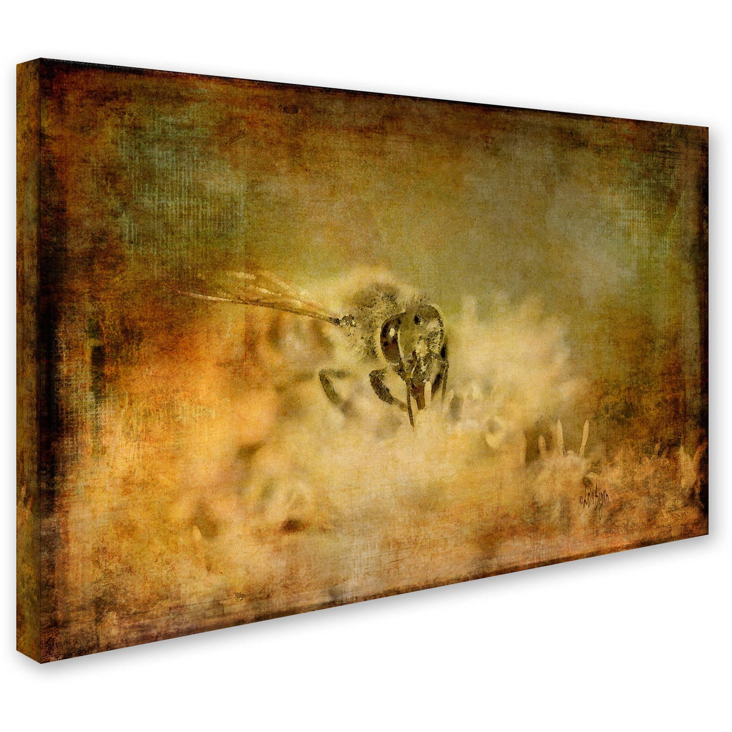 Trademark Fine Art "Send the Bees Love" Canvas Art by Lois Bryan