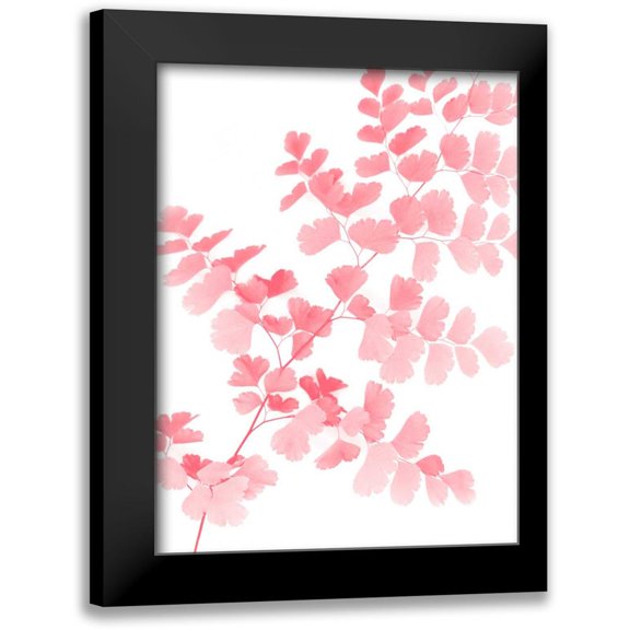Greer, Lexie 12x14 Black Modern Framed Museum Art Print Titled - Pink Maidenhair