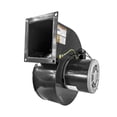 thumbnail image 1 of 1TDR7, 4C444 Dayton Direct OEM Interchange Replacement Blower, 1 of 4