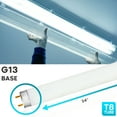 thumbnail image 2 of LUXRITE 30-Pack F17T8/865 17W 24 Inch T8 Fluorescent Tube Light Bulb, 6500K Daylight, 1350 Lumens, G13 Medium Bi-Pin Base, LR20755, 2 of 4