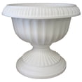 thumbnail image 2 of Bloem  White Grecian Urn (Pack of 12), 2 of 2