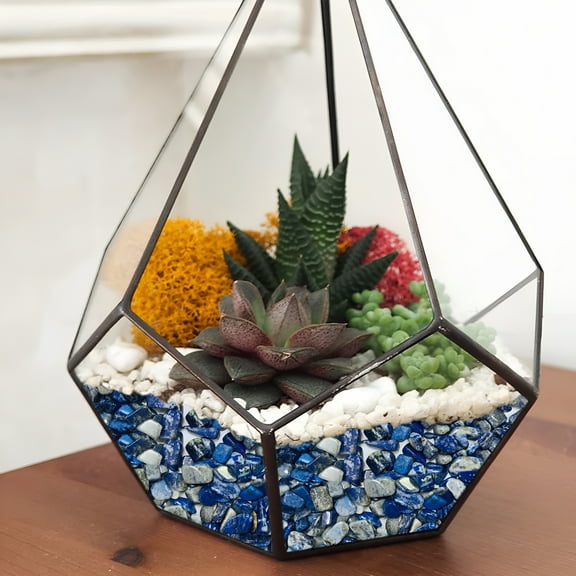 ACDANC Cactus Pea Gravel Rocks,Pebbles for Indoor Plants,Natural Succulent Rock and River Rocks Decorative for Aquariums,Vases,Terrarium,Outdoor Gardening,Top Dressing for Potted Plants,1PC,Stone