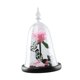 thumbnail image 3 of Regalo de flor de rosa Flor eterna para siempre Regalo de San Valentín Regalo romántico para Rosa oscuro, 3 of 9