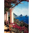 thumbnail image 2 of Wright, Elizabeth 25x32 Gold Ornate Wood Framed with Double Matting Museum Art Print Titled - Pergola in Capri, 2 of 4