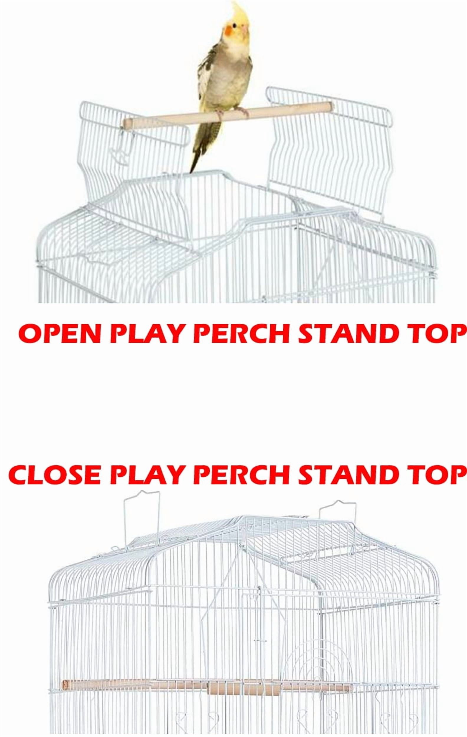 Large 36-inch Open Top Portable Hanging Travel Bird Flight Cage for Parakeets Finches Canaries Lovebirds Small Quaker Parrots Cockatiels Budgie Green Cheek Conure