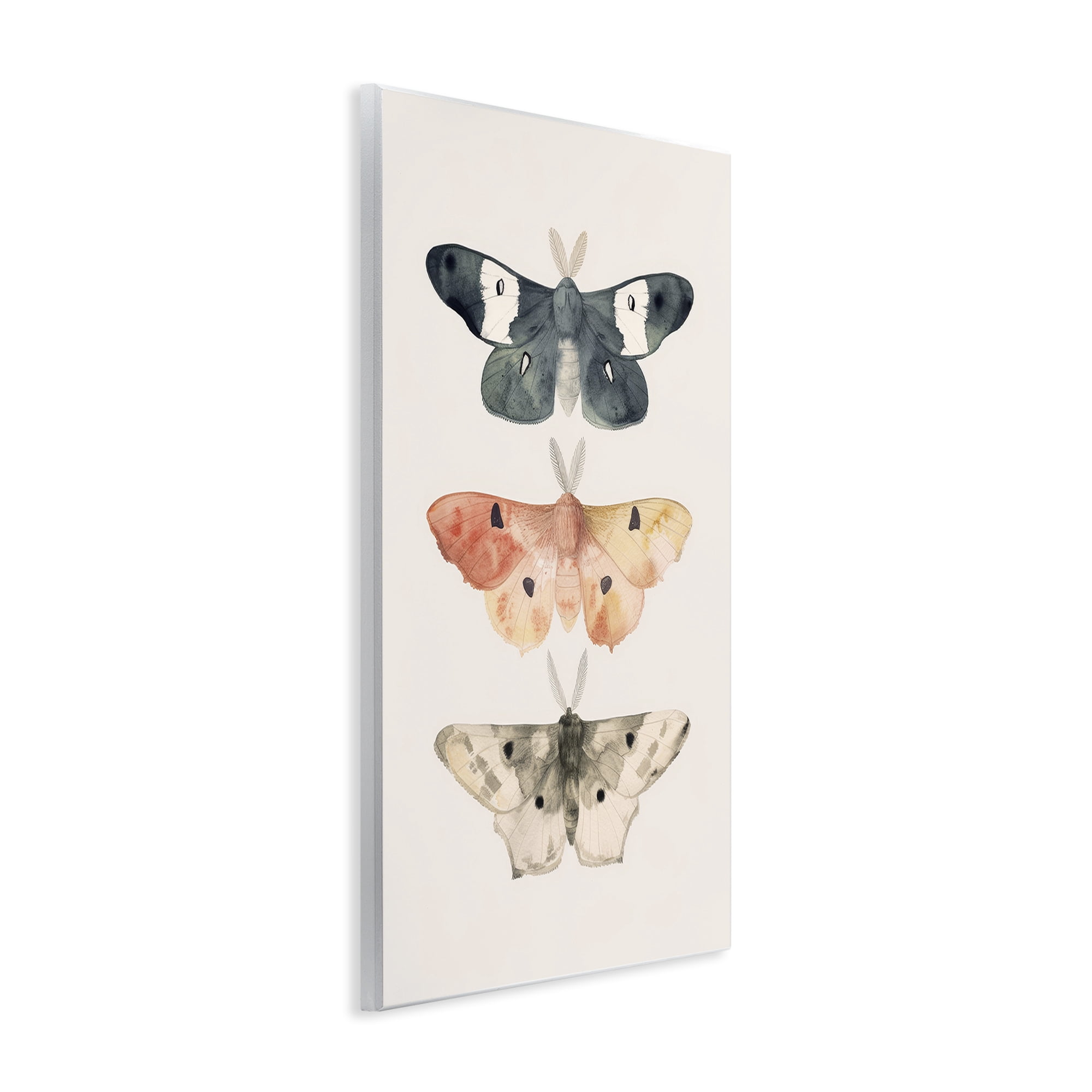 Stupell Industries Watercolor Moth Trio Animals Painting Unframed Art Print Wall Art, 13 x 19