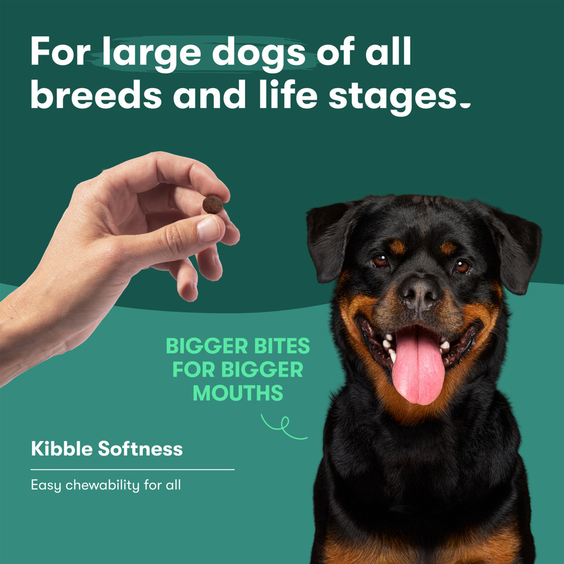 Jinx Large Breed Beef, Brown Rice, Sweet Potato Kibble, 30 lb