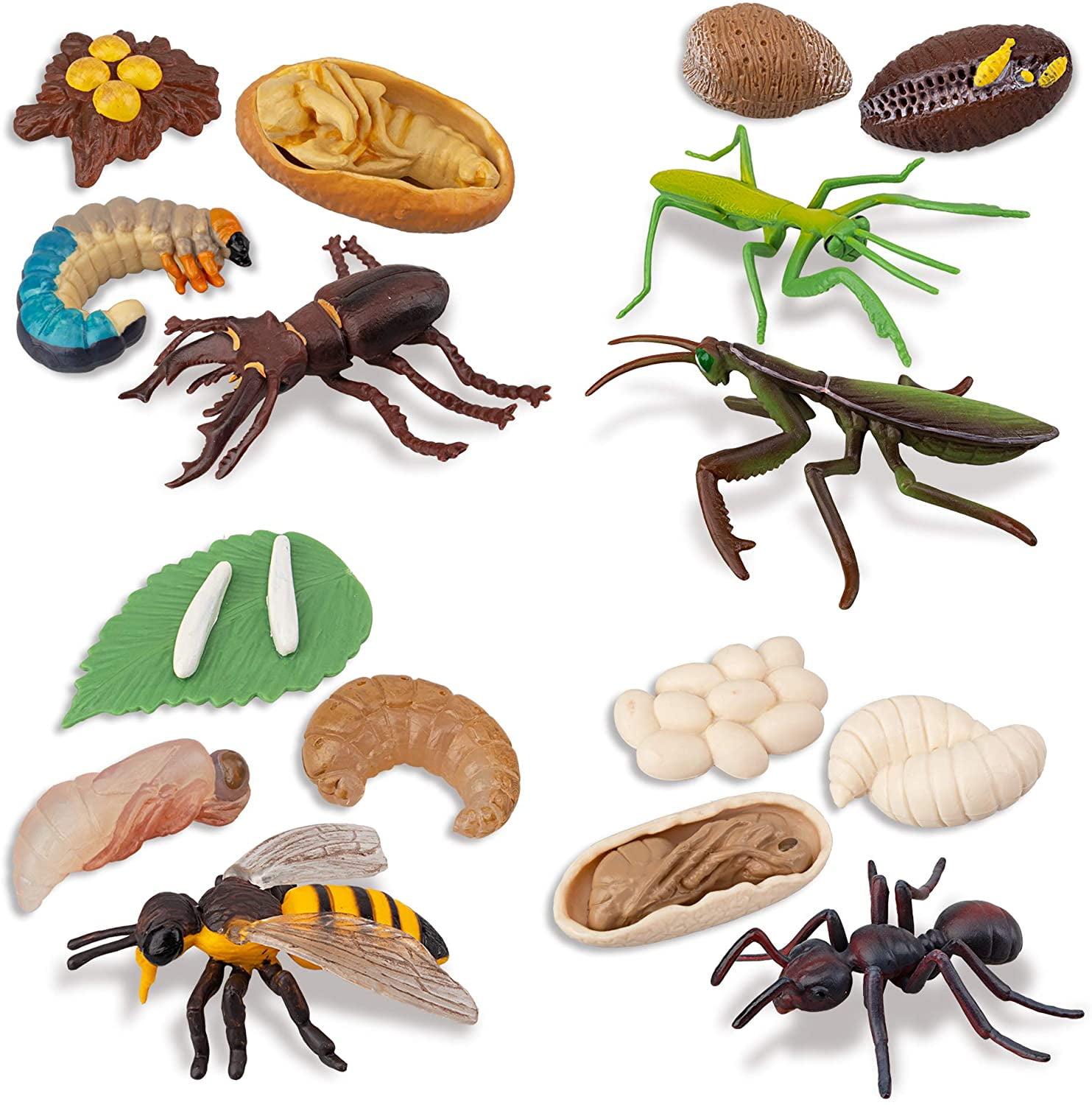 16PCS Insect Figurines Life Cycle of Stag Beetle,Honey Bee,Mantis,Ant  Plastic Safariology Bug Figures Toy Kit Caterpillars to Butterflies  Educational School Project for Kids Toddlers 