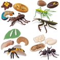 thumbnail image 1 of Figuritas de insectos ciclo de vida del escarabajo ciervo, abeja de miel, mantis, hormiga plástico Safariology Bug figuras juguete Kit, 16 Uds Namotu WRLF-332, 1 of 7