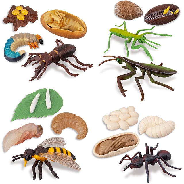 Figuritas de insectos ciclo de vida del escarabajo ciervo, abeja de miel, mantis, hormiga plástico Safariology Bug figuras juguete Kit, 16 Uds Namotu WRLF-332