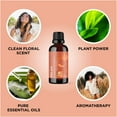 thumbnail image 6 of Relaxing Essential Oil Blend for Diffuser - Aromatherapy Blend of Essential Oils for Diffusers for Home and Travel Stress Support with Lavender Geranium Roman Chamomile and Ylang Ylang Diffuser Oils, 6 of 6
