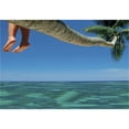 thumbnail image 3 of Startonight Mural Wall Art Palm Tree on the Beach Illuminated Trees Wallpaper Photo Medium 3 x 24,02 ‘’ x 50,4 ‘’ Total 4’2”x 6', 3 of 4