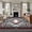 Gray, variant on Sage Green Boho Runner Rug 2.7x5 FT, Non Slip Entryway Carpet, American Native Southwest Abstract Art Washable Soft Floor Carpet Entrance Mat Non-Shedding Throw Rug for Hallway Laundry Room Bedside