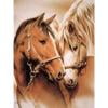 Cuadros Decorativos 5D diamante pintura caballo completo redondo taladro DIY pared artesanía mosaico Rhinestone arte Likrtyny embutido en tela