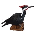 thumbnail image 1 of Michael Carr Pileated Woodpecker Chirper, 1 of 1