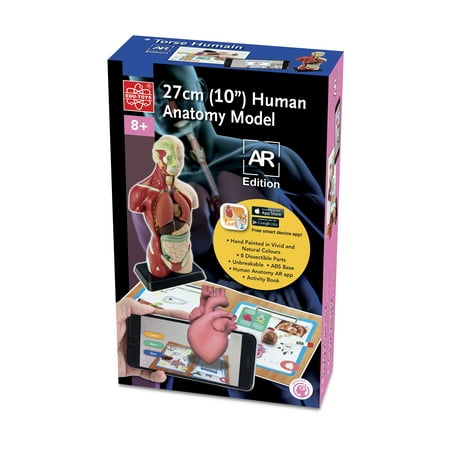 Edu-Toys 10" Human Anatomy A.R. Version