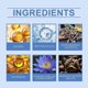 thumbnail image 4 of Nourishing Skin Care Oil with Blue Lotus & Moringa - Moisturizes & Protects Dry Skin, 4 of 5