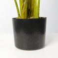 thumbnail image 4 of Artificial Potted Traveler's Tree - Avy, 4 of 6