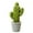 Style#2, variant on Visland Mini Artificial Cactus Plants - Artificial Succulent in Pots