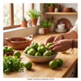 thumbnail image 4 of Tomate Verde Orgánico Campo Vivo Fresco 450 G, 4 of 7