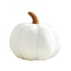 thumbnail image 1 of Peluche de calabaza almohada cómoda con forma de calabaza para el hogar decoraciones de Halloween y Acción de Gracias ANGGREK Otros, 1 of 8