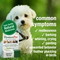 thumbnail image 3 of HomeoPet Anxiety Relief Calming Natural Pet Relaxant Solution for Pets, 15-Milliliter Bottle, 3 of 8