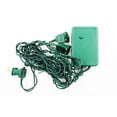 thumbnail image 1 of Queens of Christmas WL-CONT-2-8F 2 Channels 8 Function Green Controller, 1 of 1